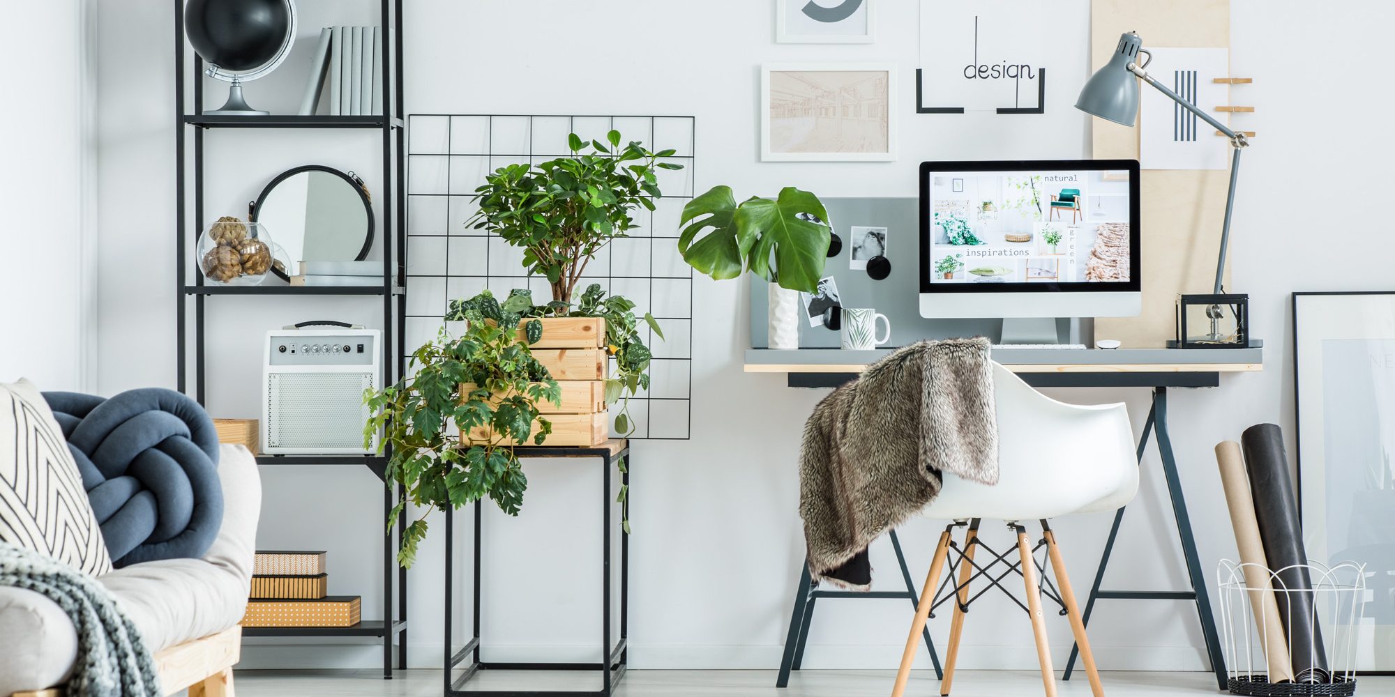 simple-home-office-with-tree-PBXRXYB-large